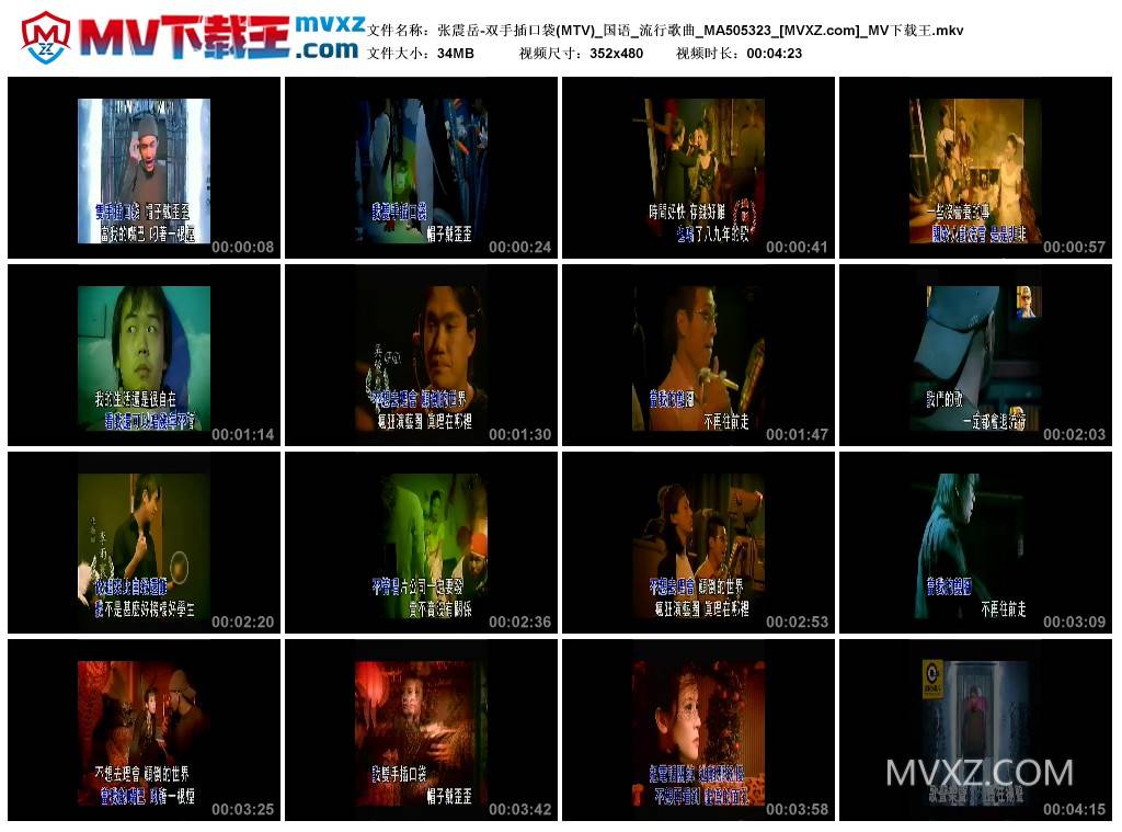 张震岳-双手插口袋(MTV)_国语_流行歌曲_MA505323